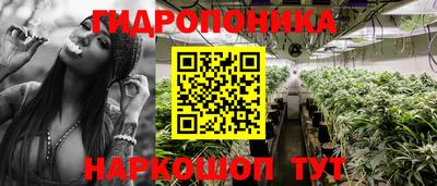 эйфоретик Баксан
